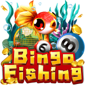 fly 168 Bingo Fishing fishing