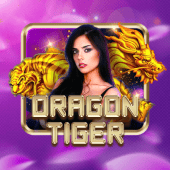 Dragon Tiger fly 168 casino